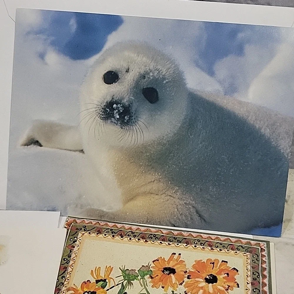 Greeting Cards Notecards Blank Inside Lot Of 5 Animals Flowers‎ Sailboat